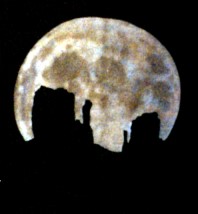 Desert Moon