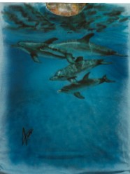 Dolphin Pod