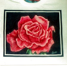 Framed Rose