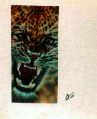JAGUAR