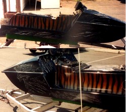Tiger Jet Ski Sides