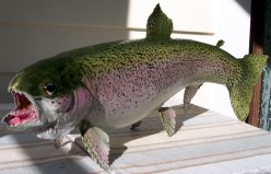 Trout Taxidermied that I painted