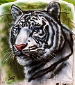 whitetiger