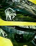 Wolf Cycle - 2
