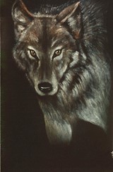 Wolf In The Dark