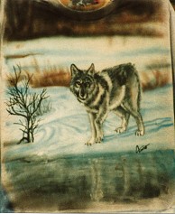 Wolf In Snow